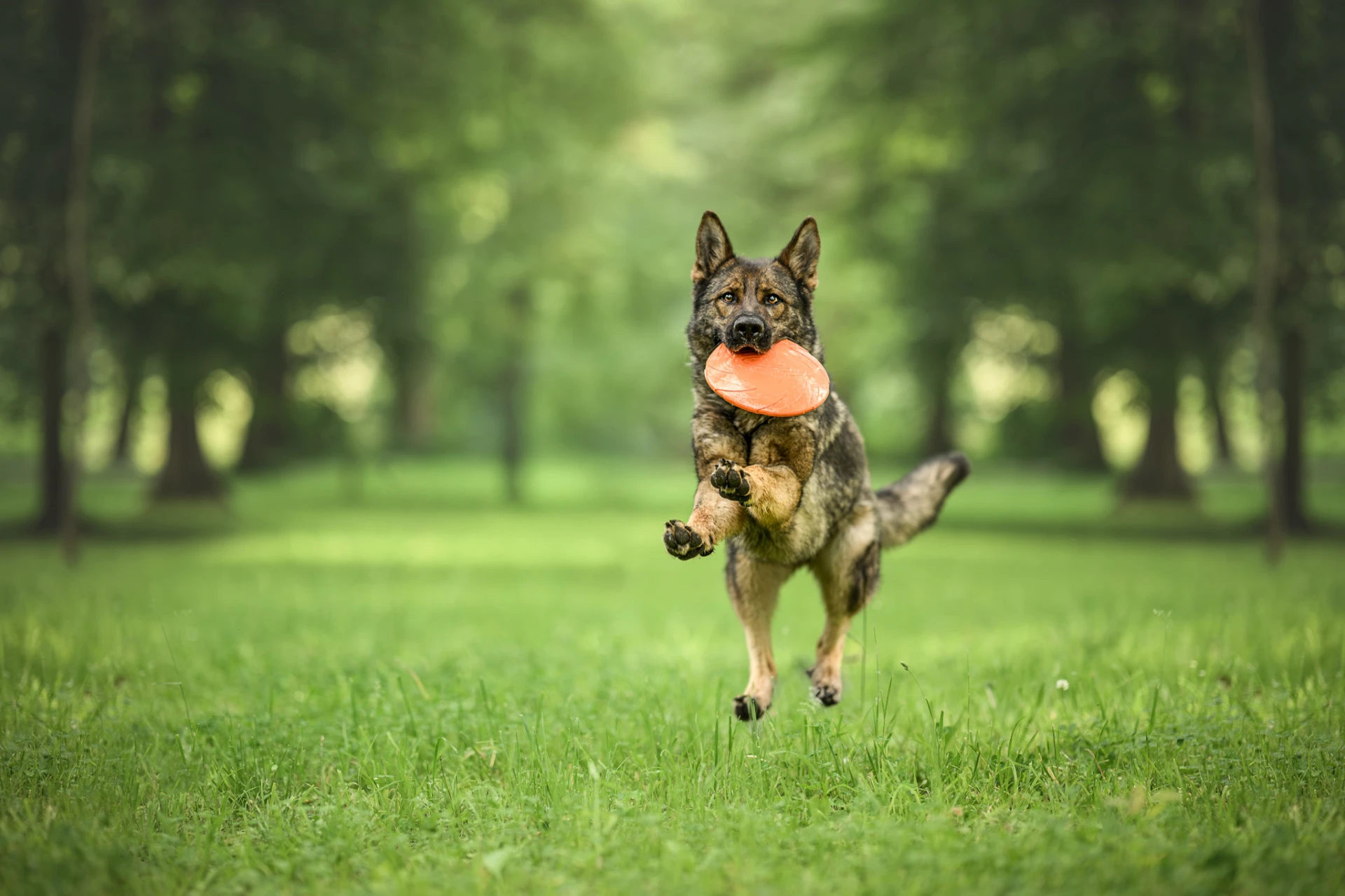 Reference Karolína Hloušková