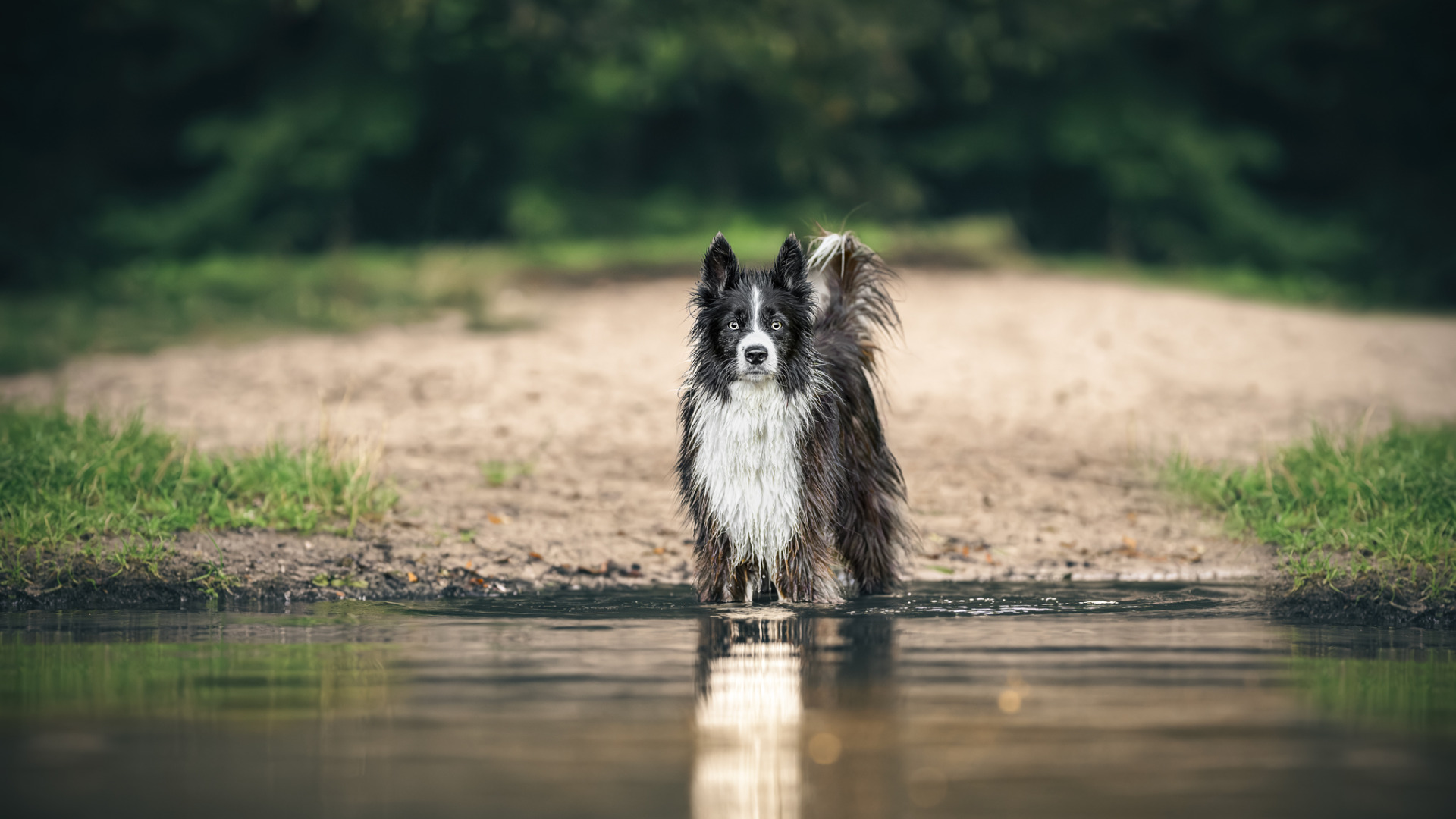 Google recenze Anna Horáková