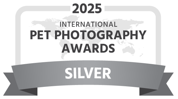 IPPA 2025 – Silver Award