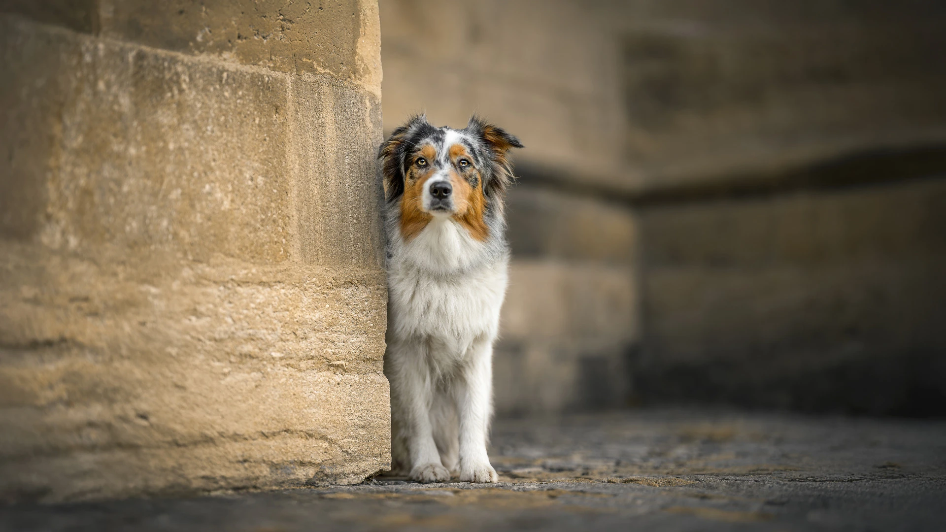 Mgr. Lucie Nermuťová