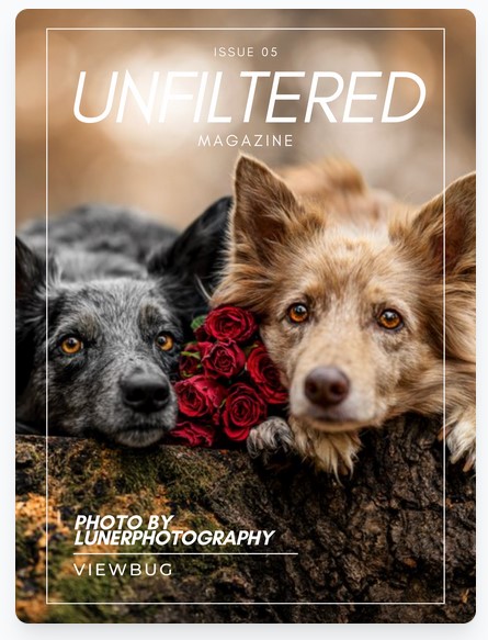 Unfiltered Viewbug Nr. 05 (Otištěno na titulce)