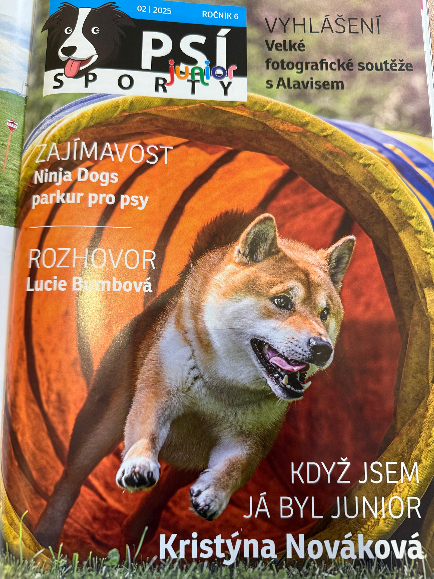 Psí sporty Junior 2/2025