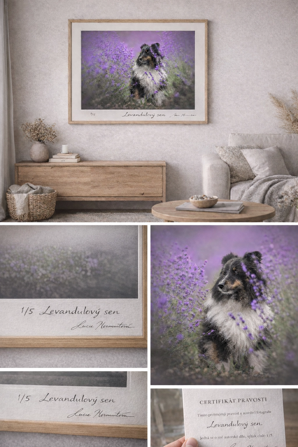 Autorské obrazy – ukázka