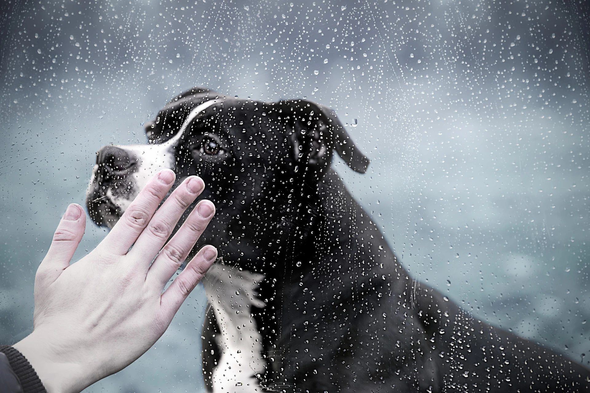 A Touch Through the Rain