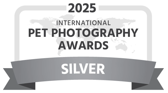 International Pet Photography Awards Silver