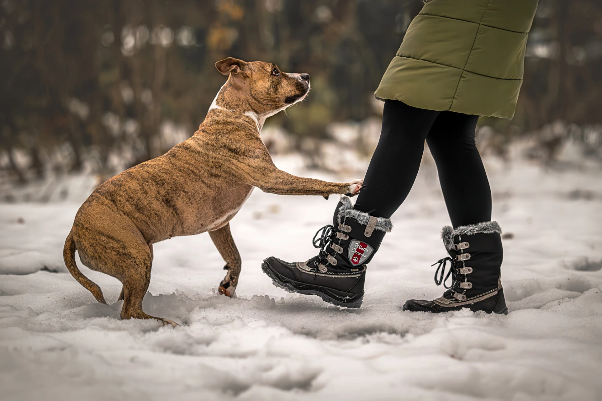 Focení se psem · společná fotografie člověka a psa · Luner Photography