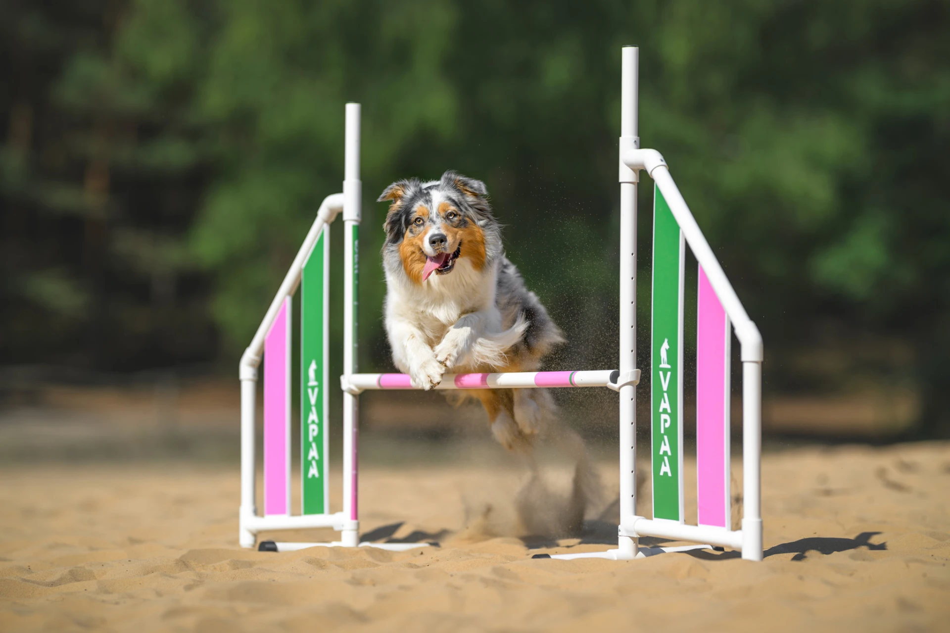 Agility