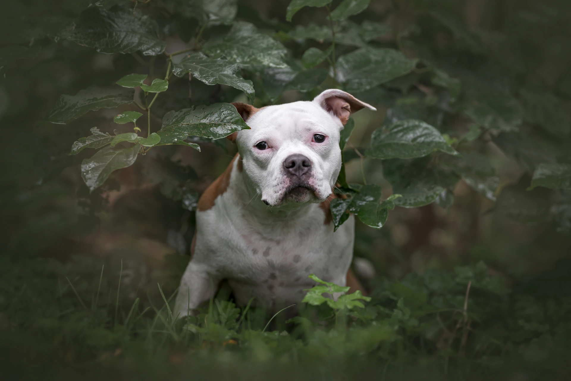 Mia – barevný portrét Luner Photography