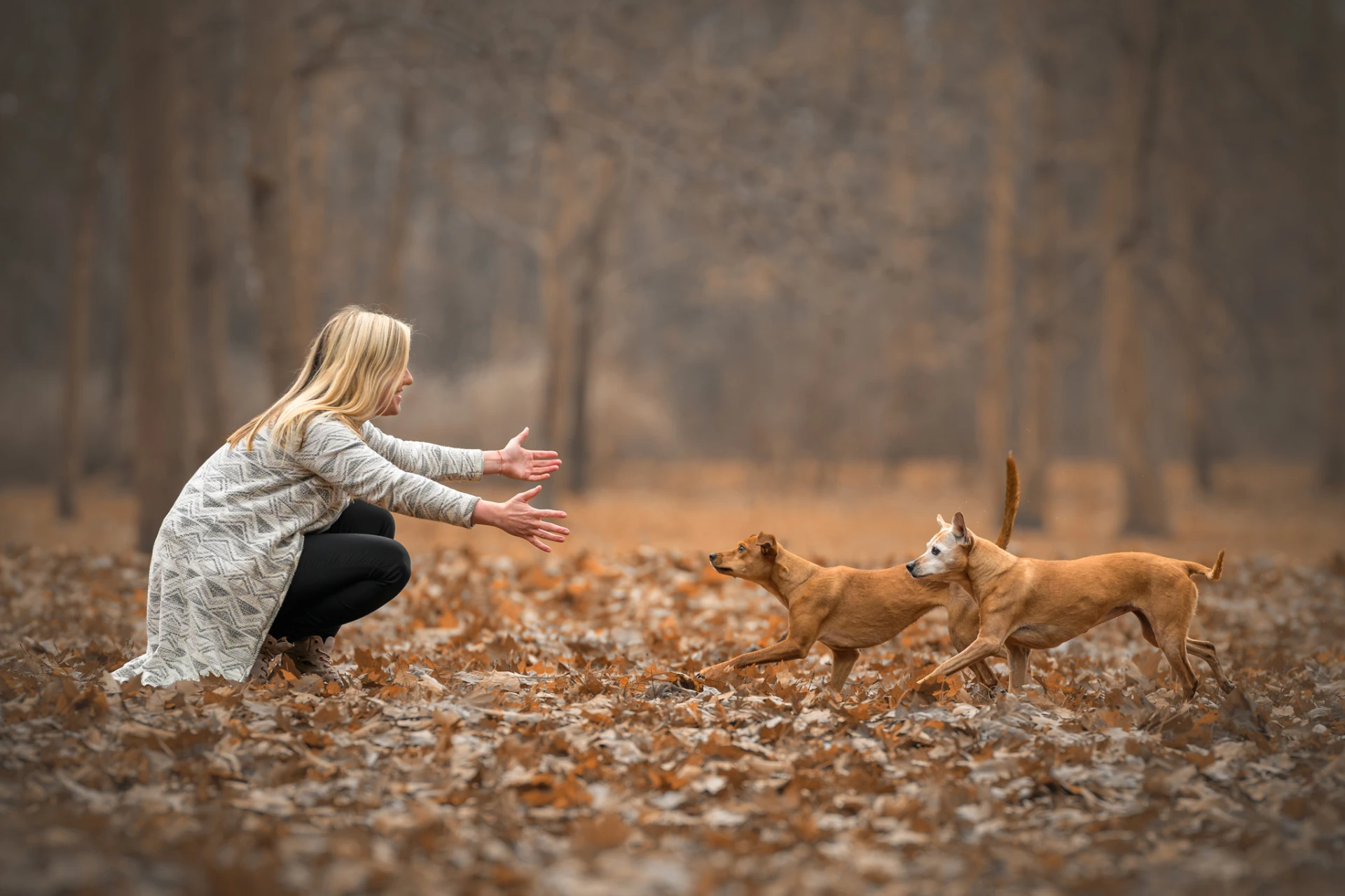 Pejsek v náručí – společné focení s psím parťákem · Luner Photography