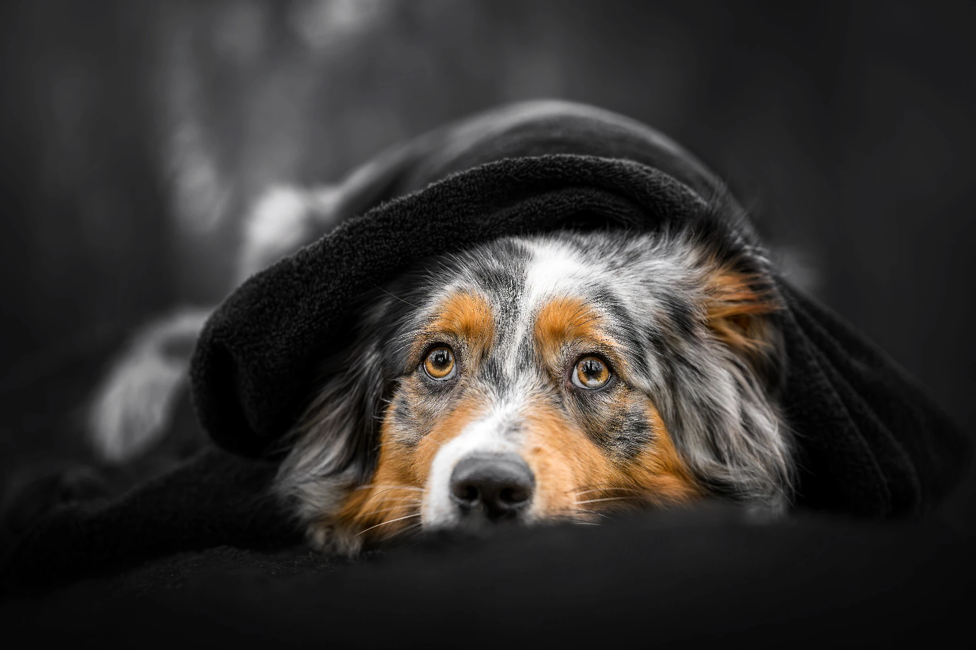 Olive s ručníkem na hlavě – Spooky Seasons, pohádkové halloweenské focení Luner Photography