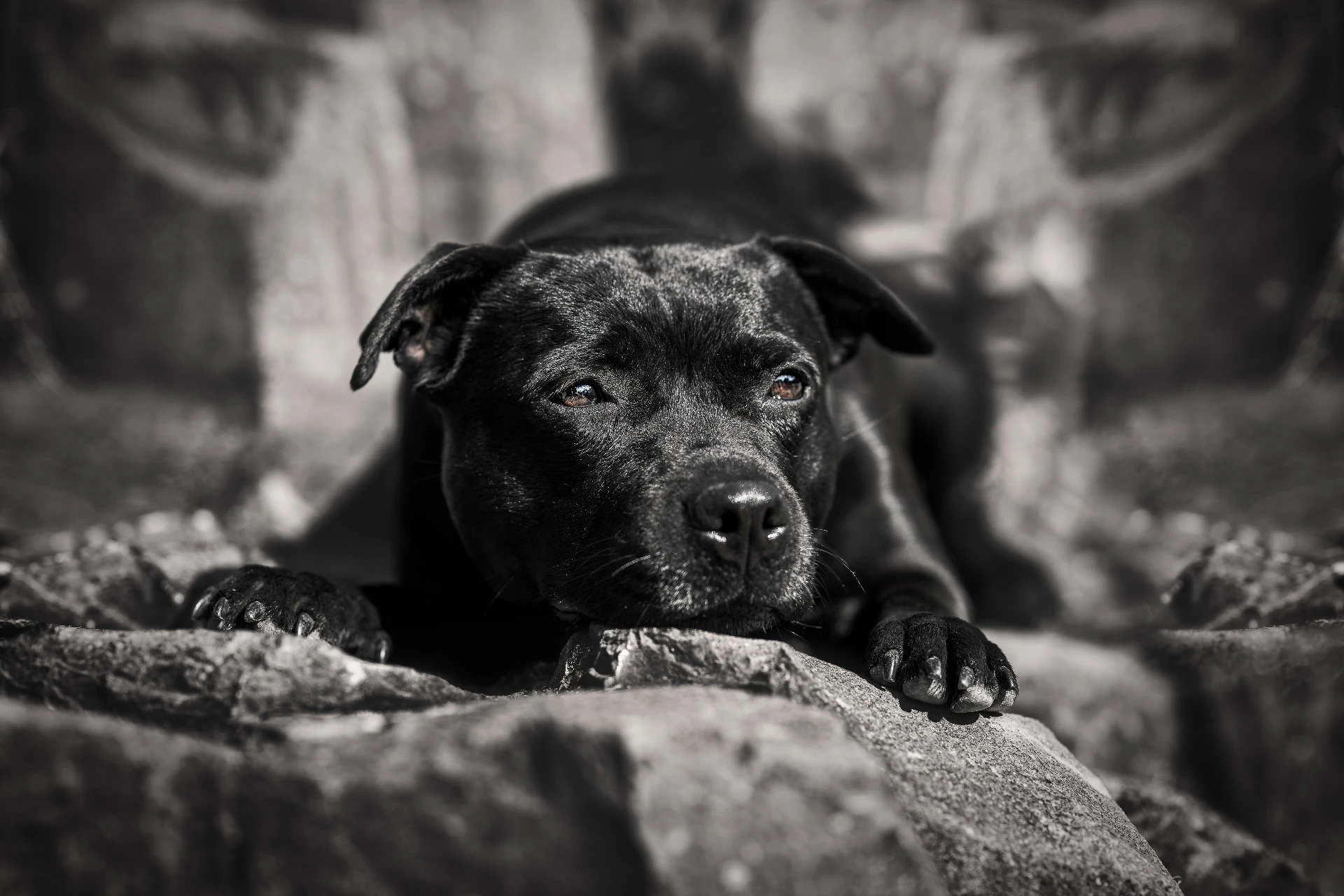 Fine art portrét psa · Luner Photography