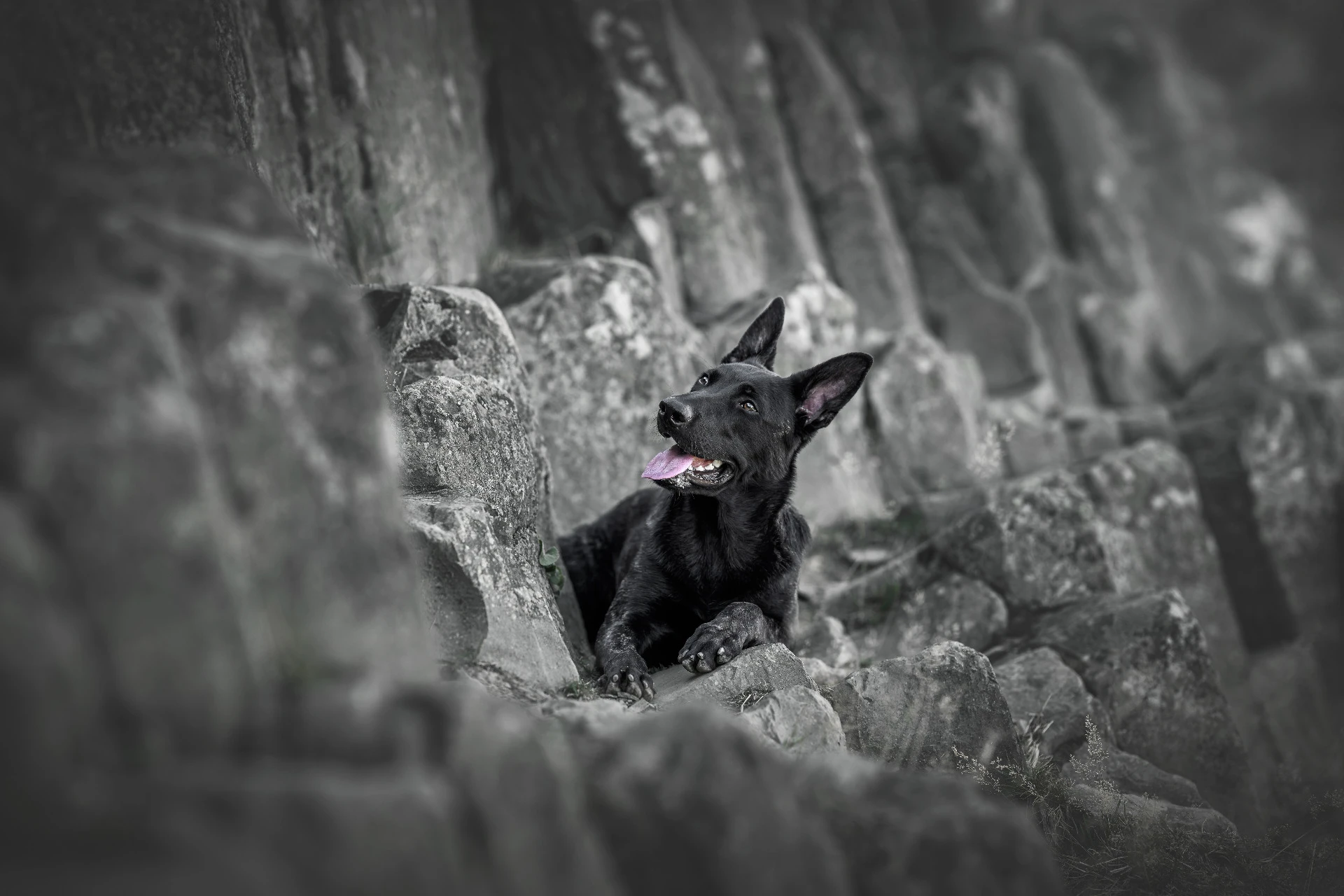 Fine art portrét psa · Luner Photography
